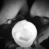 Fatima Bukhari's photo