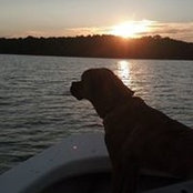 Mariana Davis's photo