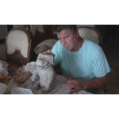 Scott Walz's photo