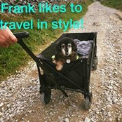 Foto von Debbie Dilly