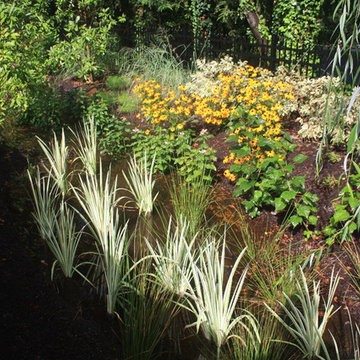 u2014 ALE: Pembrooke Estate Rain Garden