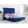 Eastern King Navy Blue Velvet Upholstered Panel Bed with Clear Acrylic Legs