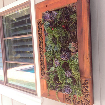Kahala Vertical Succulent Garden