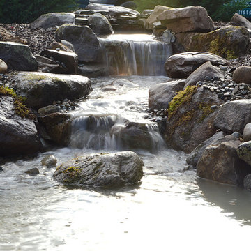 Ecosystem pond