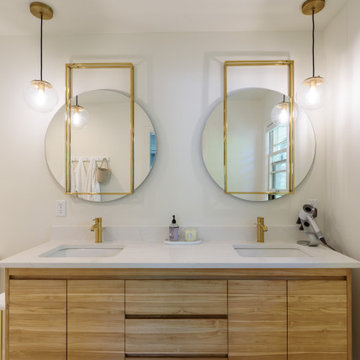 Whole House Remodel