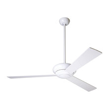 lighting & Fans