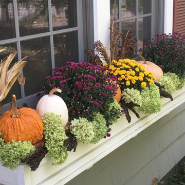 Fall Container Design