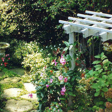 Secret Garden / Moonlight Garden