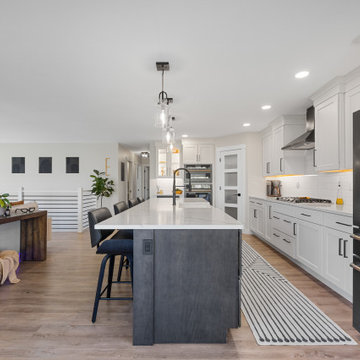 Contemporary Kitchen Remodel
