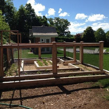 Veggie Gardens