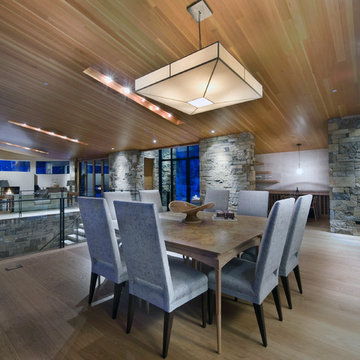 Vail Valley Mountain Contemporary Residence