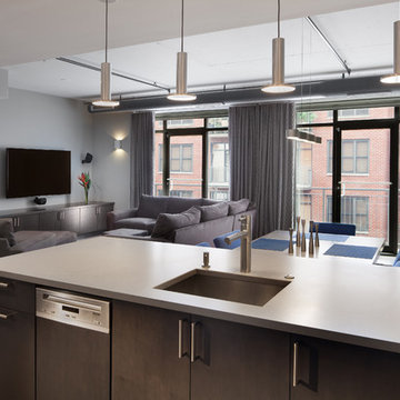 Penthouse Condominium by Four Brothers