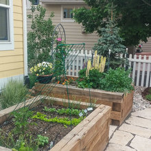 Raised Bed Gardening
