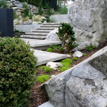 Contemporary Coastal Garden