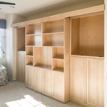 Custom Library Bookcase Murphy bed