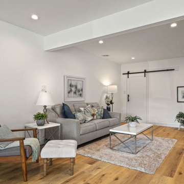 Living Room Remodel