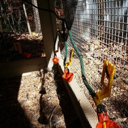 Automatic Gravity Fed Rainwater Harvesting Chicken Watering System - Products