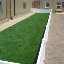 Dog Run