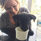 Brittany Roll's photo