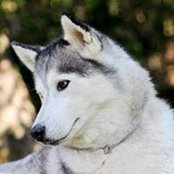 Michaela Semerakova's photo