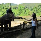 Alejandra Gonzalez's photo
