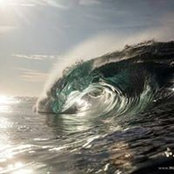 Foto von Teresa Johnson