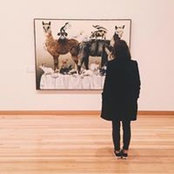 Anna Ashton's photo