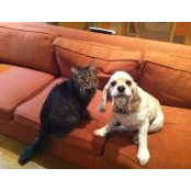 Elizabeth Hahn's photo