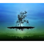David Hoyles foto