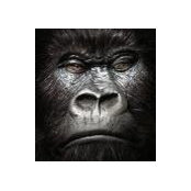 Mike Beedham's photo