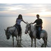 Marissa Albano's photo