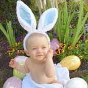 Shari Dronet Melancon's photo