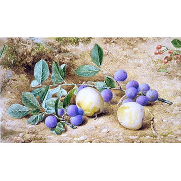 John William Hill Plums, 18"x27" Wall Decal