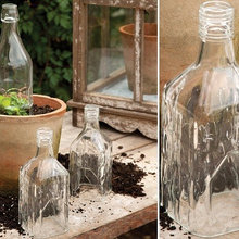 Garden ideas