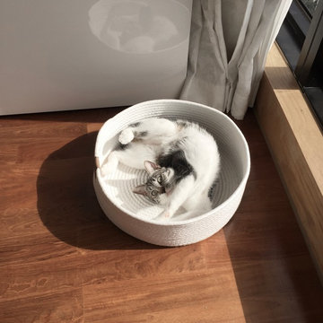 Multifunctional cat scratching bed