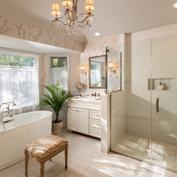 Brookfield Bathroom and Fireplace Remodel
