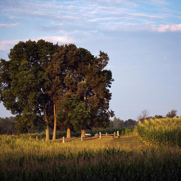 Wilderness Battlefield