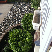 Exterior Lawn Border And Gardens