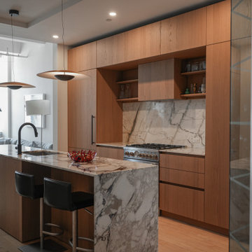 Chestnut Veneer Kitchen in Williamsburg, Brooklyn