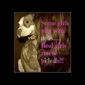 Shanda Redden's photo