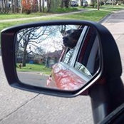 Pam Kangas's photo