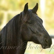Deirdre Premo's photo