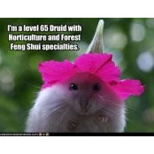 Lynn Brooks's photo