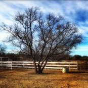 Amy Zuckerman's photo