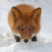 Elza Vale's photo