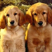 Jill Diede Bleck's photo