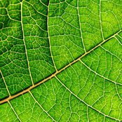 windowfarm team's photo