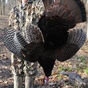 Devan Dicksons billede