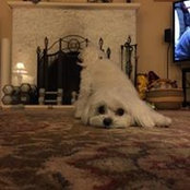 Danny Park's photo