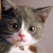 Molly Smith's photo